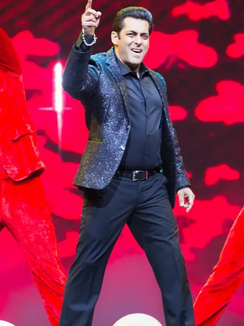 Salman Khan Da-Bangg Tour - artist portrait